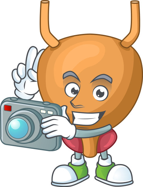 膀胱摄影师使用昂贵的相机图片下载