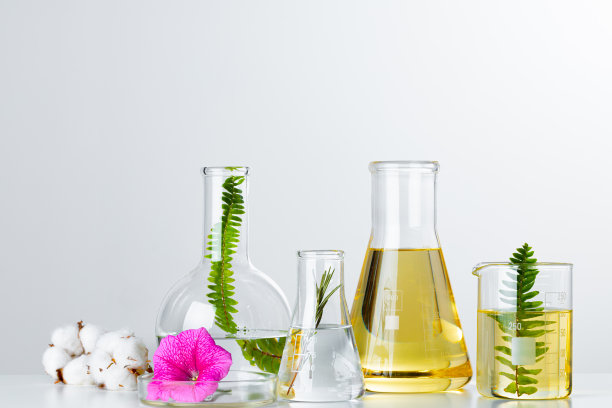 实验室玻璃器皿中的植物。护肤产品及药物化学研究概念图片下载