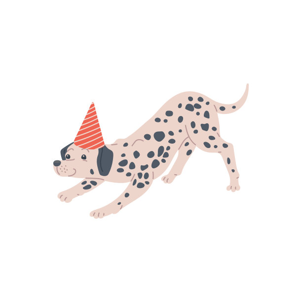 狗狗品种在节日的帽子，有趣的宠物动物，顽皮的小狗。图片下载