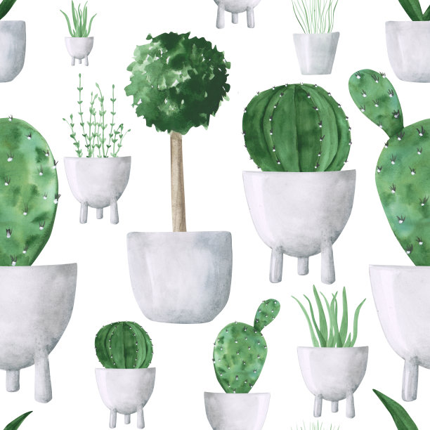 手绘水彩盆栽植物无缝模式上的白色背景。家里花盆里的花印不尽。芦荟，盆景，仙人掌墙纸。室内植物插图。图片下载
