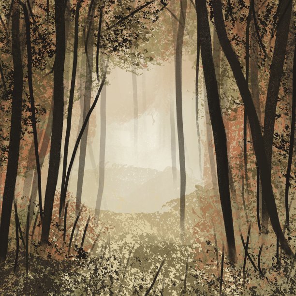 森林里有雾的早晨图片下载