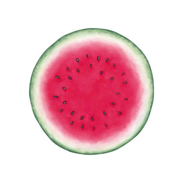 手绘西瓜切片孤立在白色的背景。西瓜圆片，带籽。适用于纺织印花、布匹印花、不干胶、标签等。图片下载