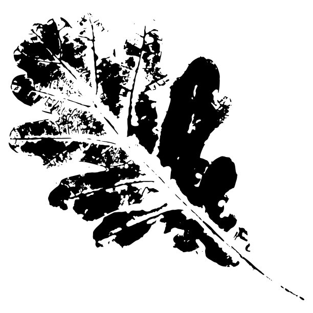 墨水打印的叶子。黑色墨水印的树叶和灌木图片下载