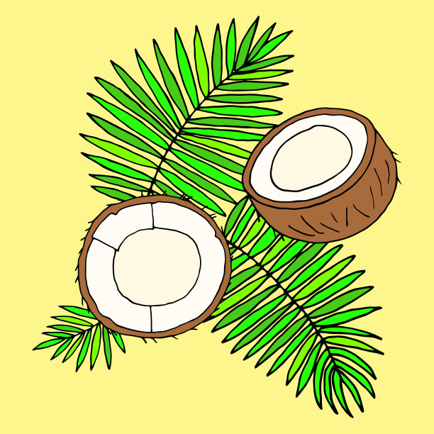 矢量绘图与椰子和棕榈叶在黄色的背景。图片下载
