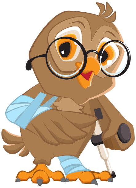 打石膏的猫头鹰，翅膀和腿都断了。受伤人员的拐杖图片下载