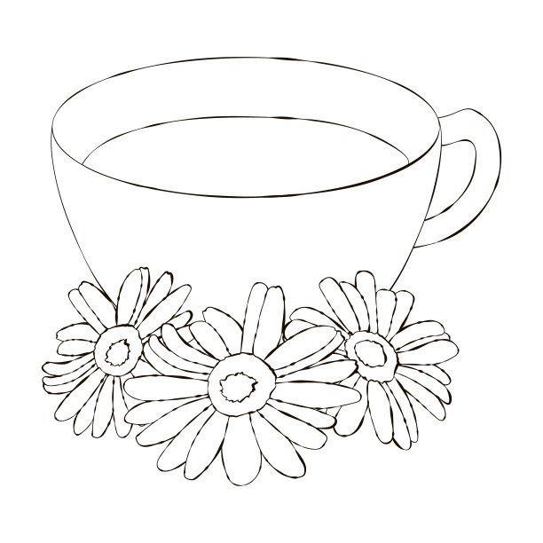 一个黑色的线性的。洋甘菊。洋甘菊茶。一杯茶。向量图片下载