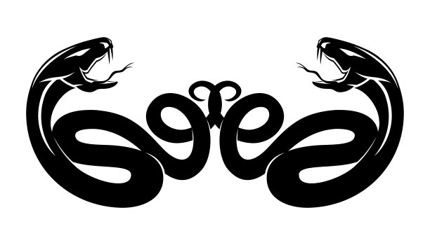 用两条蛇做插图。图片下载