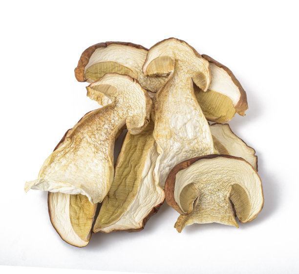 干蘑菇牛肝菌图片下载