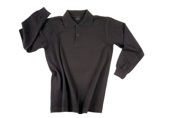 男子长袖polo衫图片下载