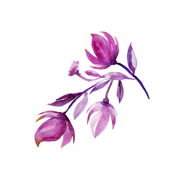 无缝水彩野花图案图片下载