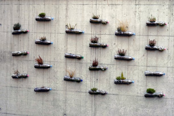 从软饮料中升级或升级塑料瓶，将其转化为微型城市极简垂直花园的装饰植物。瓶子用绳子固定在混凝土墙上。图片下载