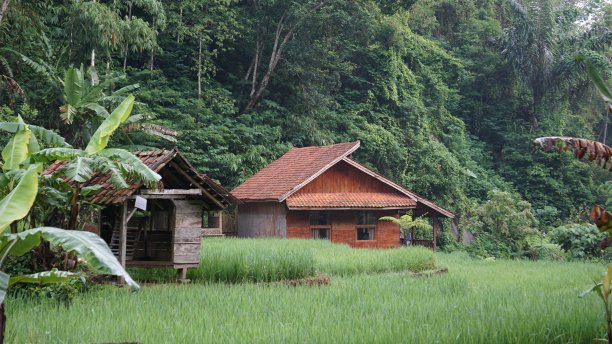 在村子里建房子图片下载