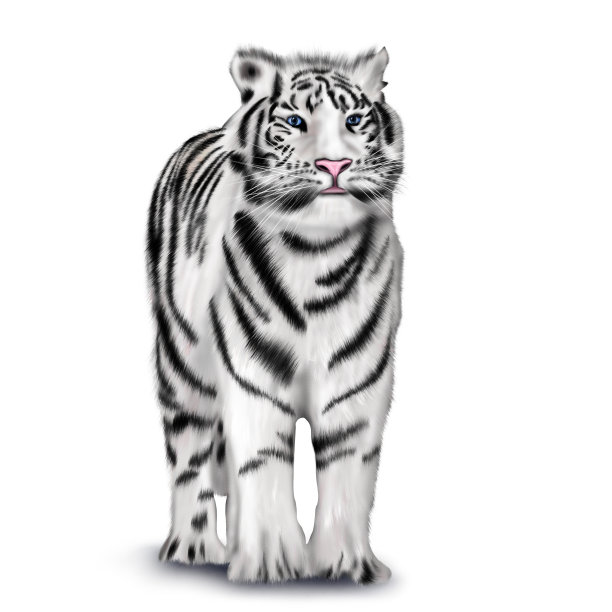 野生动物图片下载