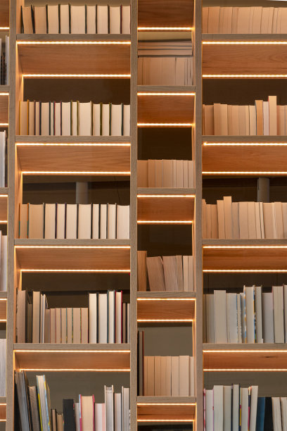 图书馆里装满书的木制书架图片下载