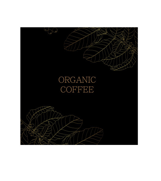 金枝咖啡树与树叶图片下载