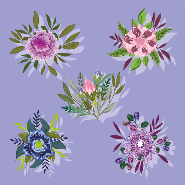 花，叶，叶，自然，绿叶，植被图片下载