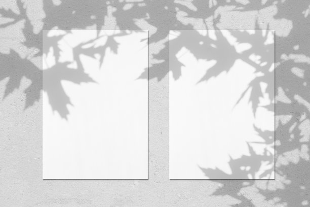 空白色垂直矩形海报模型与枫叶的阴影图片下载