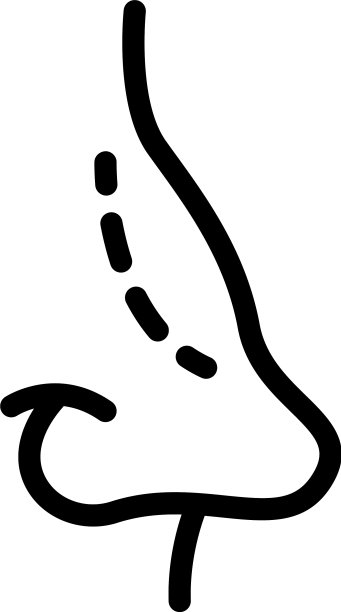 鼻手术矫正图标轮廓样式图片下载