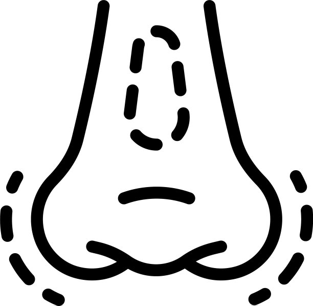 鼻手术图标轮廓风格图片下载