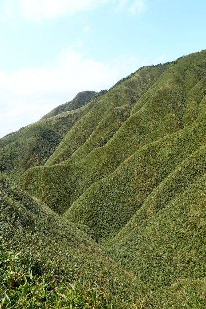 著名的抹茶(绿茶)山，神木步道图片下载