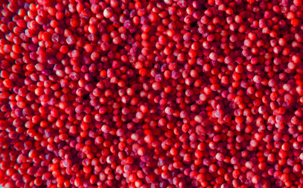 背景设计和模板图片下载