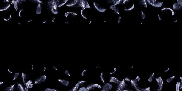 羽毛的概念。白色柔和的天使羽毛特写纹理落在黑暗的背景图案摄影。艺术形象优雅，表现自然的脆弱。图片下载