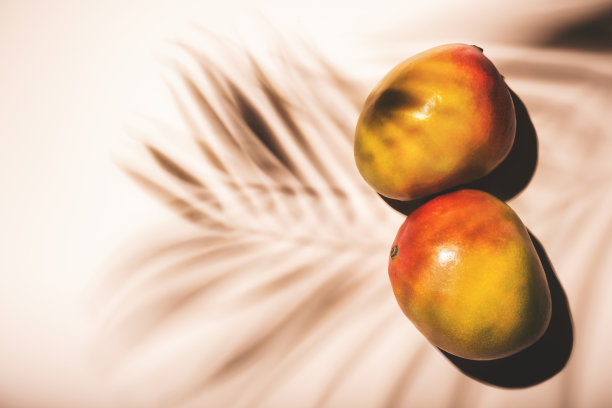 夏日芒果水果俯视图。当代静物画，浅粉色背景，硬光和棕榈叶阴影图案图片下载