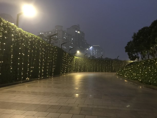 空无一人的街道上挂着装饰灯图片下载