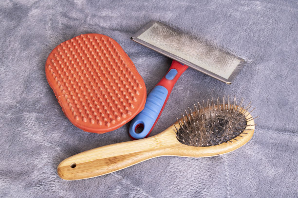 动物梳理刷在灰色背景图片下载