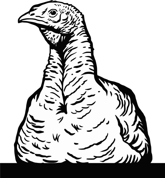 土耳其-古董雕刻手图片下载