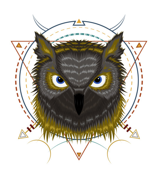 猫头鹰的标志。用于t恤设计印刷的猫头鹰插图图片下载