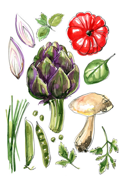 洋蓟，蘑菇，西红柿，青菜，洋葱，豌豆，菠菜，欧芹。用水彩画在白色背景上的蔬菜。丰富多彩的食物素描。意大利菜。图片下载