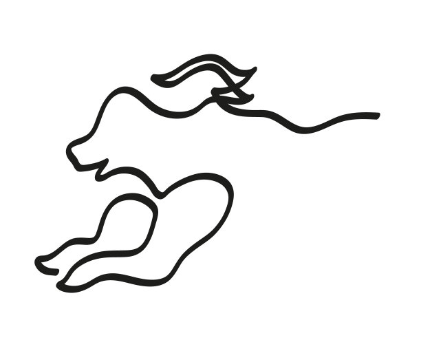 一条狗跑的线。图片下载