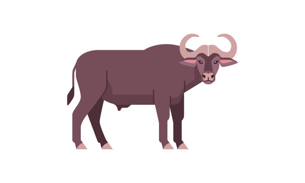 非洲的五大野生动物，披肩，水牛，牛家族的平面风格矢量插图孤立在白色的背景图片下载