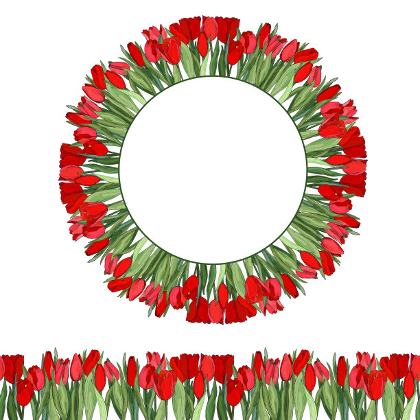 猩红色郁金香的无缝水平边界。春暖花开，花坛花束。圆形框架的孤立的手绘植物元素在白色的背景。图片下载