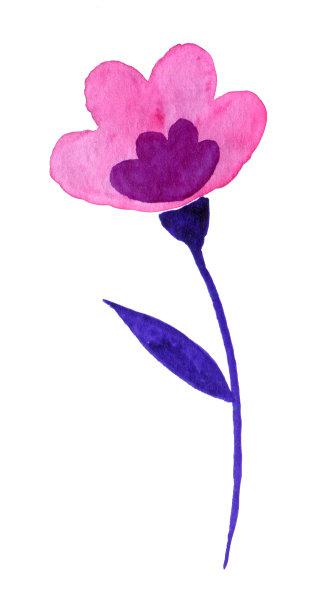 一个抽象的水彩插图粉红色的花与紫色的茎，类似于莲花。该元素被隔离在白色背景上。图片下载