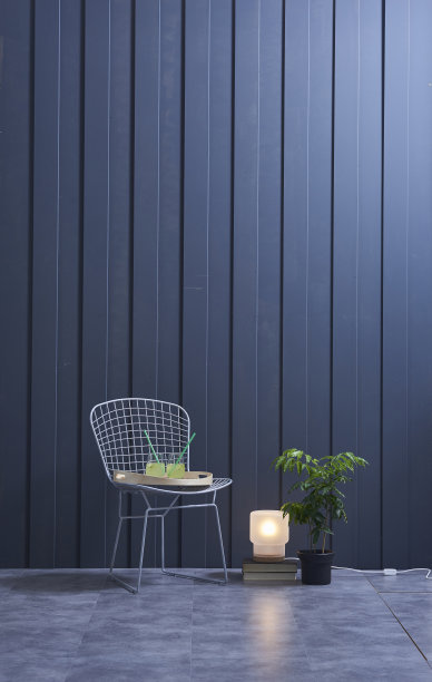 现代年轻的房间蓝色板条墙和自行车图片下载