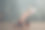 年轻的女孩职业体操女子舞蹈艺术体操与球在工作室图片下载