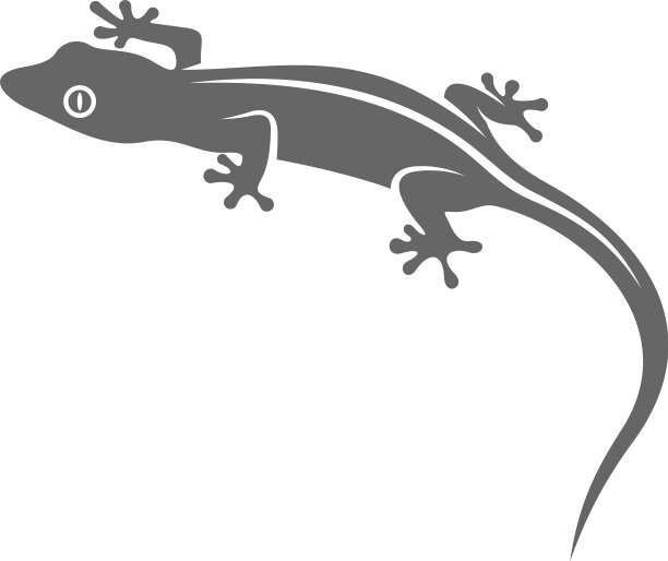 蜥蜴标志设计模板设计蜥蜴符号图片下载