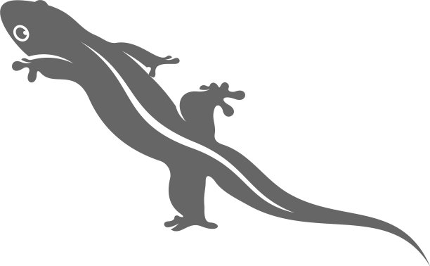 蜥蜴标志设计模板设计蜥蜴符号图片下载