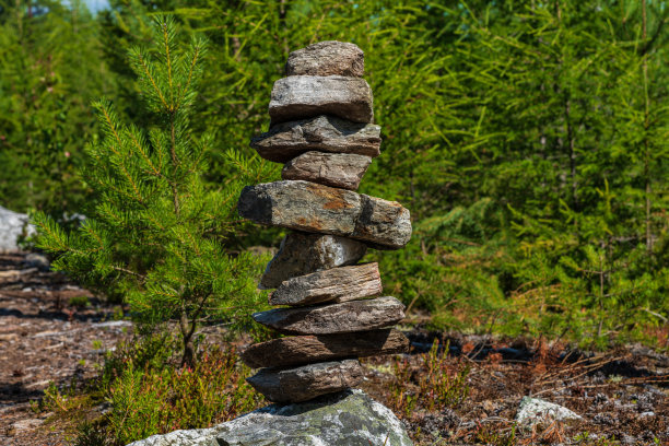 森林里的一堆石头，看起来像一张人的脸图片下载