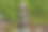 森林里的一堆石头，看起来像一张人的脸图片下载