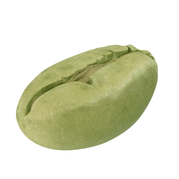 白色背景上的绿咖啡豆。三维演示图片下载