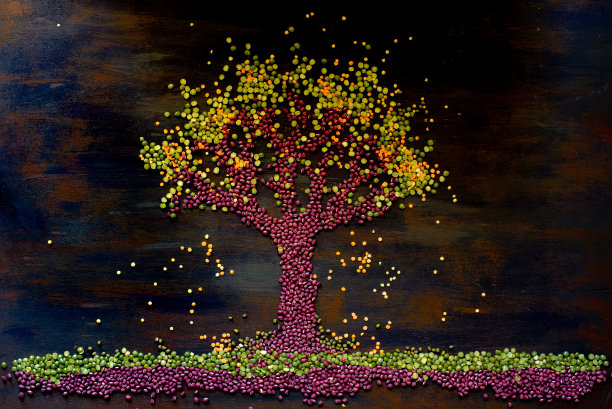 素食树的概念没有OGM图片下载