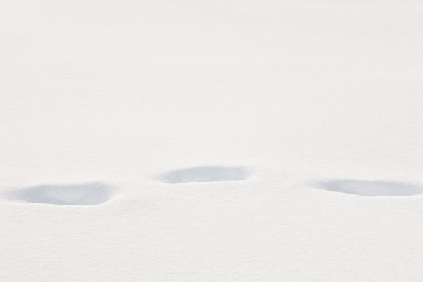 雪地上的脚印。冬天的季节。没有人图片下载