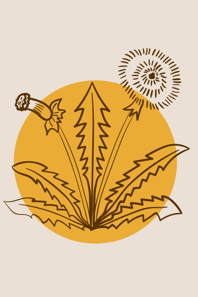 蒲公英，抽象，海报，简约图片下载