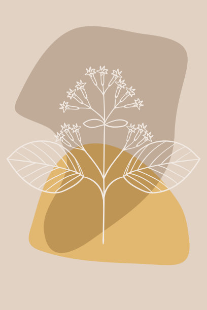 Quina(树皮树)，抽象，海报，最小图片下载