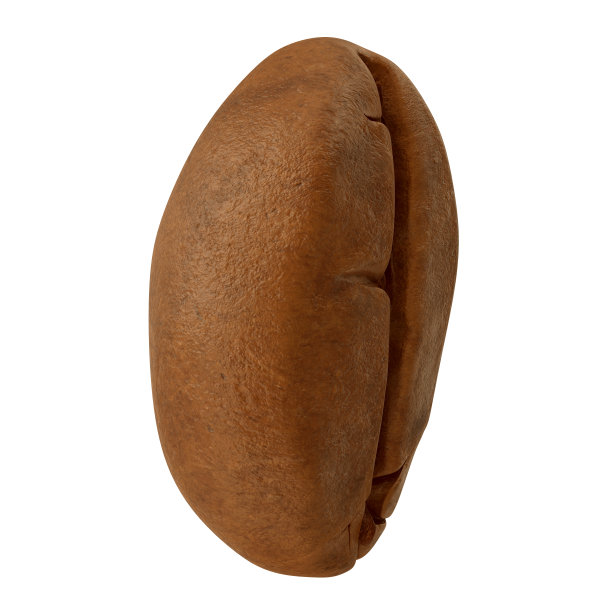 一个咖啡豆。三维演示图片下载