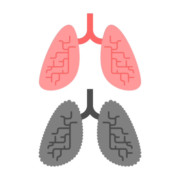 肺健康和肺吸烟者健康和生病图片下载