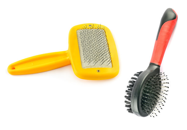 刷梳理狗孤立在白色背景。图片下载